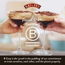 More bailyes-life-b-corp.jpeg